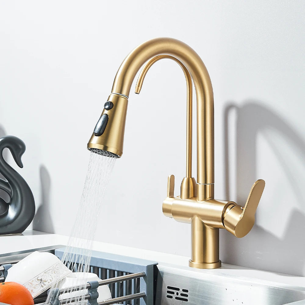 Onyzpily Kitchen Faucet Pull Out Dual Handle