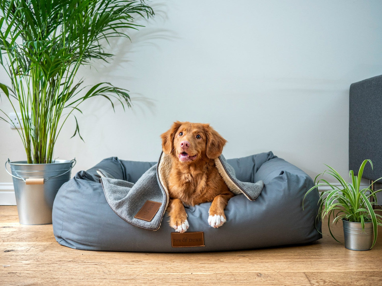 Pet Beds & Crates