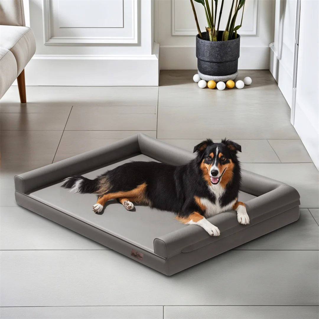 BingoPaw Microfiber Dog Sofa Bed With Removable Cover
