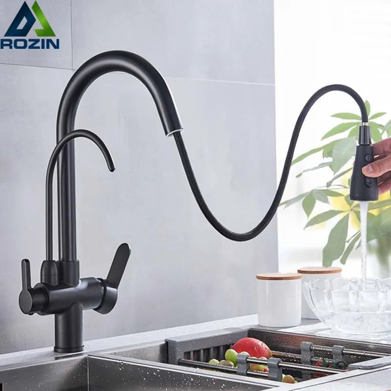 Rozin Purification Kitchen Faucet With Pullout Water Filter