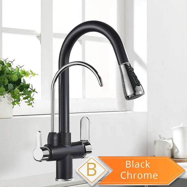 Rozin Purification Kitchen Faucet With Pullout Water Filter
