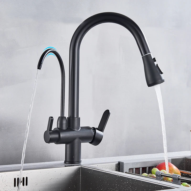 Rozin Purification Kitchen Faucet With Pullout Water Filter
