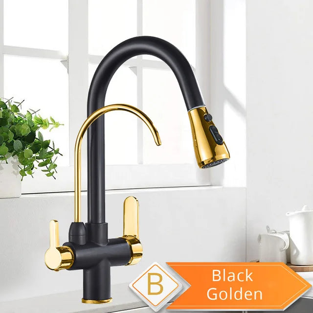 Rozin Purification Kitchen Faucet With Pullout Water Filter