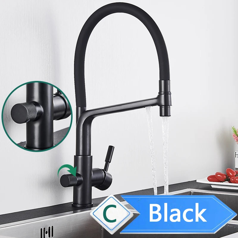 Rozin Purification Kitchen Faucet With Pullout Water Filter