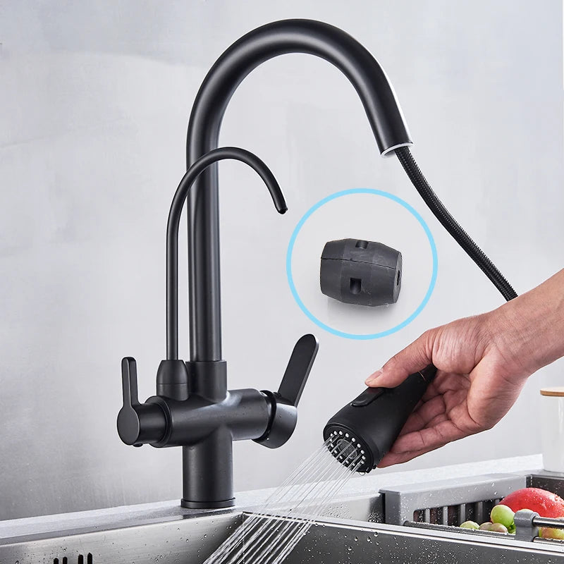 Rozin Purification Kitchen Faucet With Pullout Water Filter