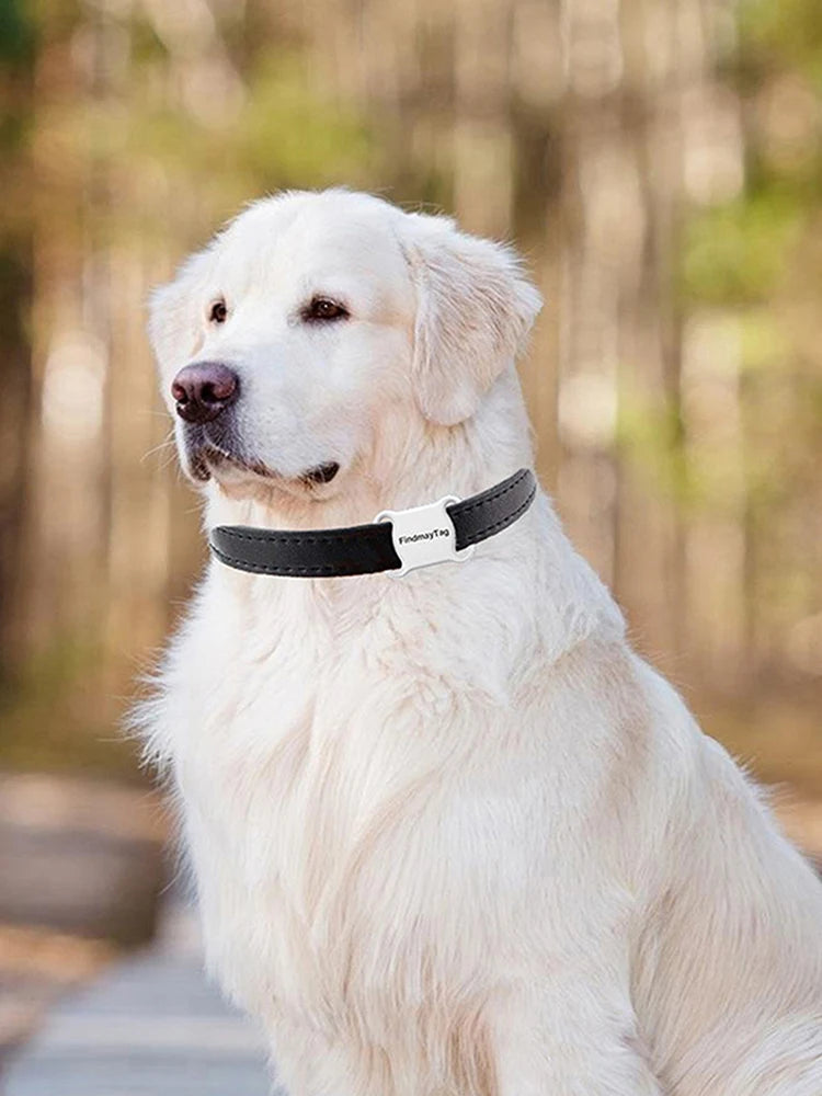 APWIKOGER Pet GPS Locator Tracker For Dogs And Cats