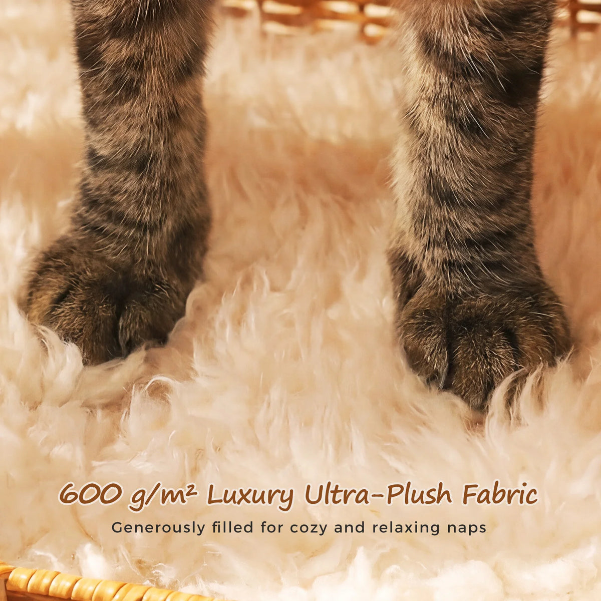 Pawz Road Elephant Wicker Cat Bed With Cushion