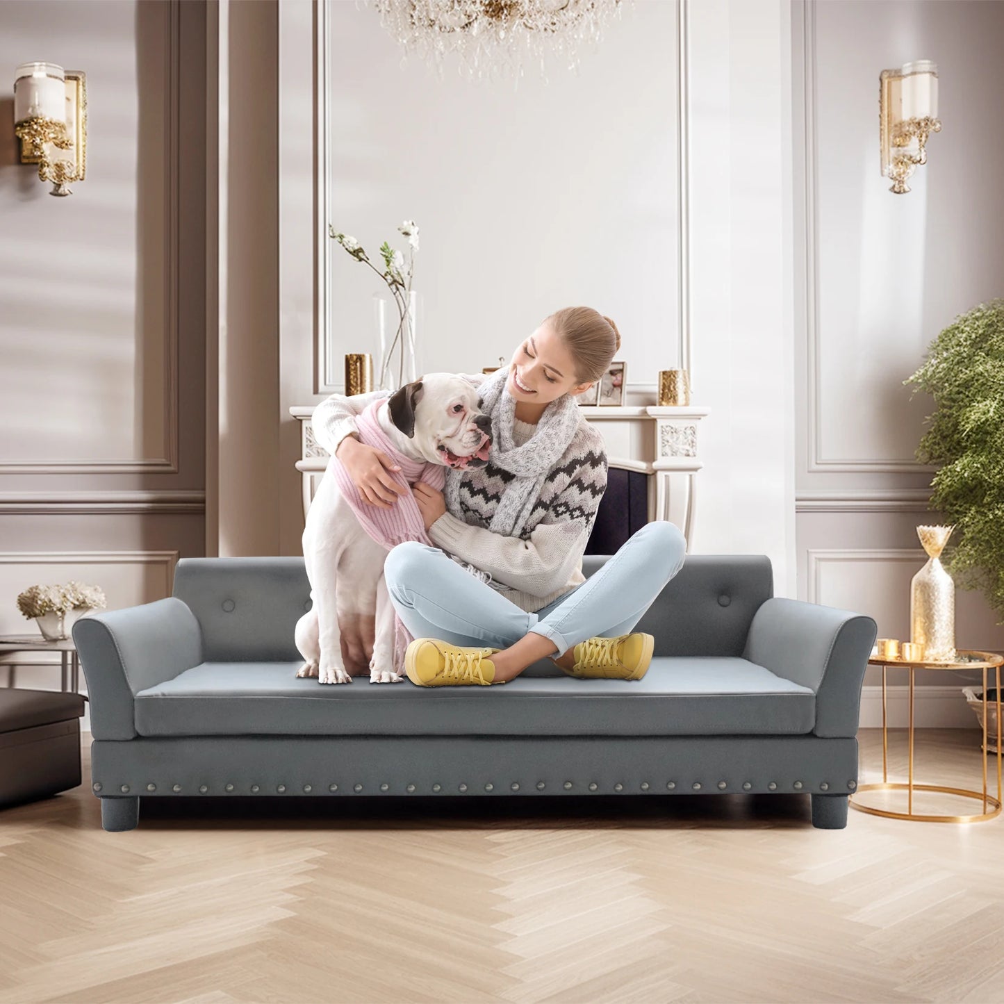 BINGOPAW Elevated Dog Sofa Bed
