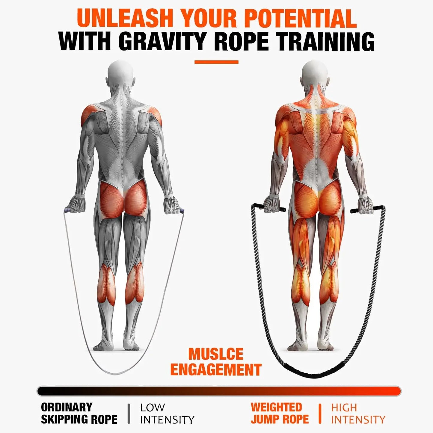 Weighted Jump Rope for Fitness and Cardio Training