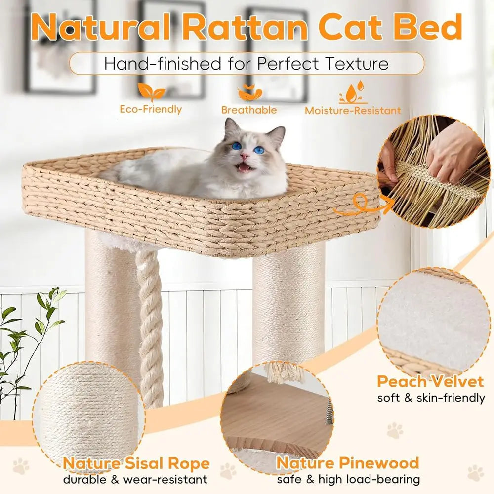 Luxury Cat Tree Tower Heavy Duty Multi Level Condo