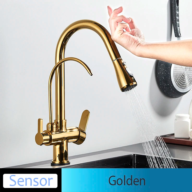 Onyzpily Kitchen Faucet Pull Out Dual Handle