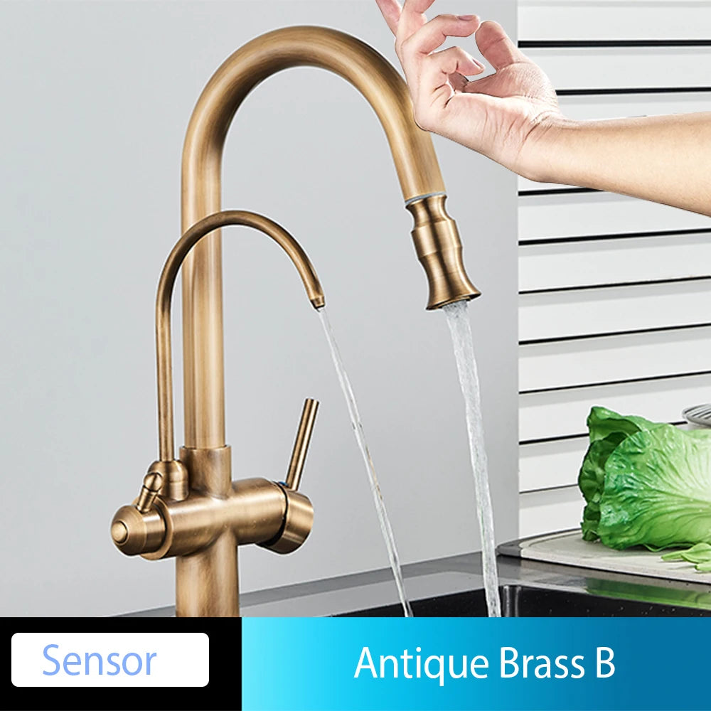 Onyzpily Kitchen Faucet Pull Out Dual Handle