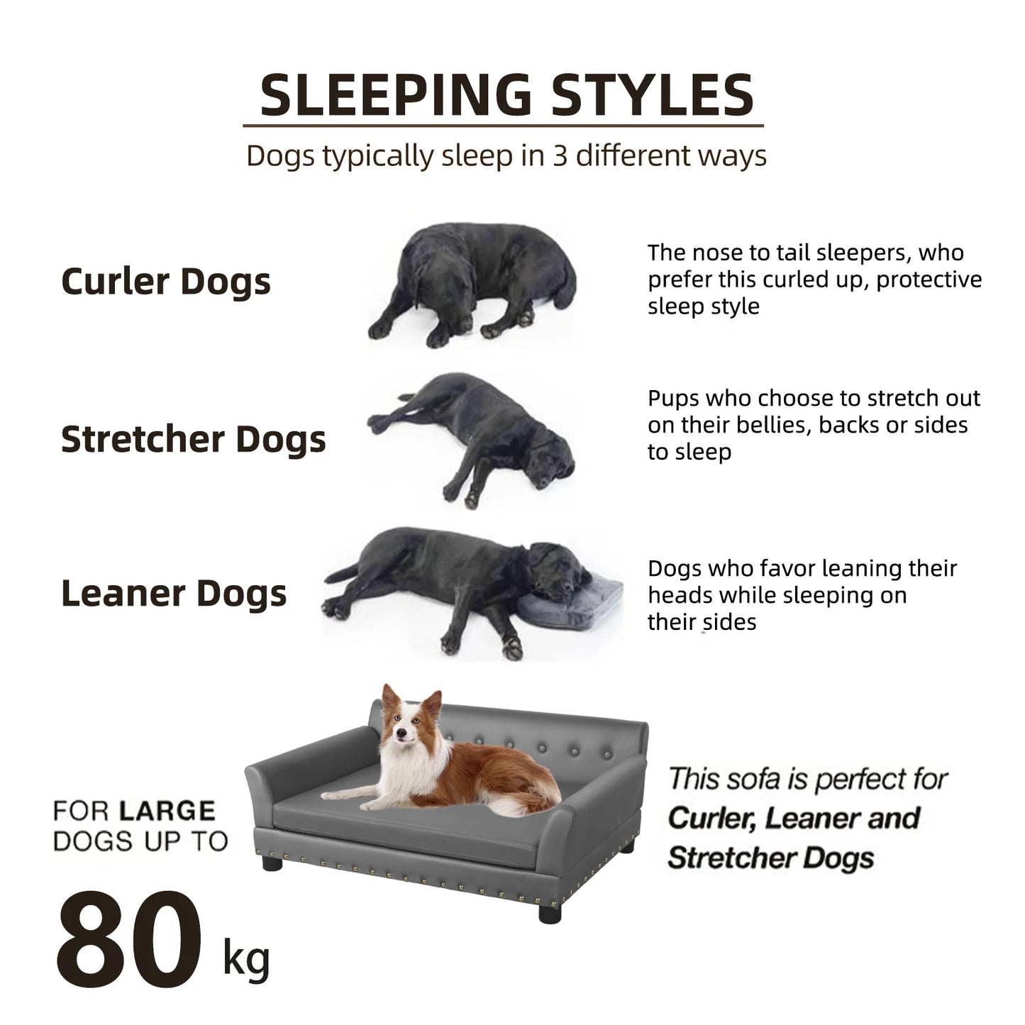 BINGOPAW Elevated Dog Bed Sofa Mat With Removable Cushion