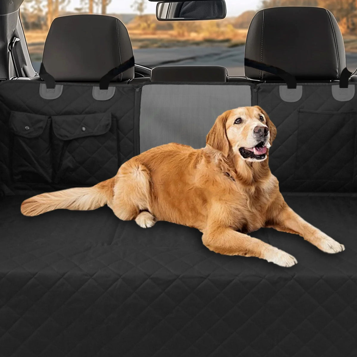 Bingopaw Hard Bottom Dog Car Seat Cover With Pockets