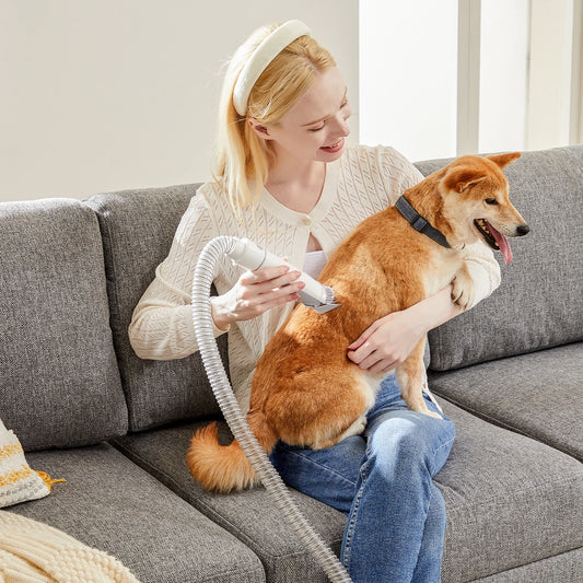 2.5L Pet Grooming Vacuum Kit With Cordless Clippers