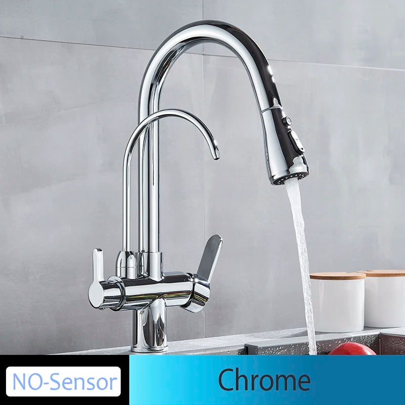 Onyzpily Kitchen Faucet Pull Out Dual Handle