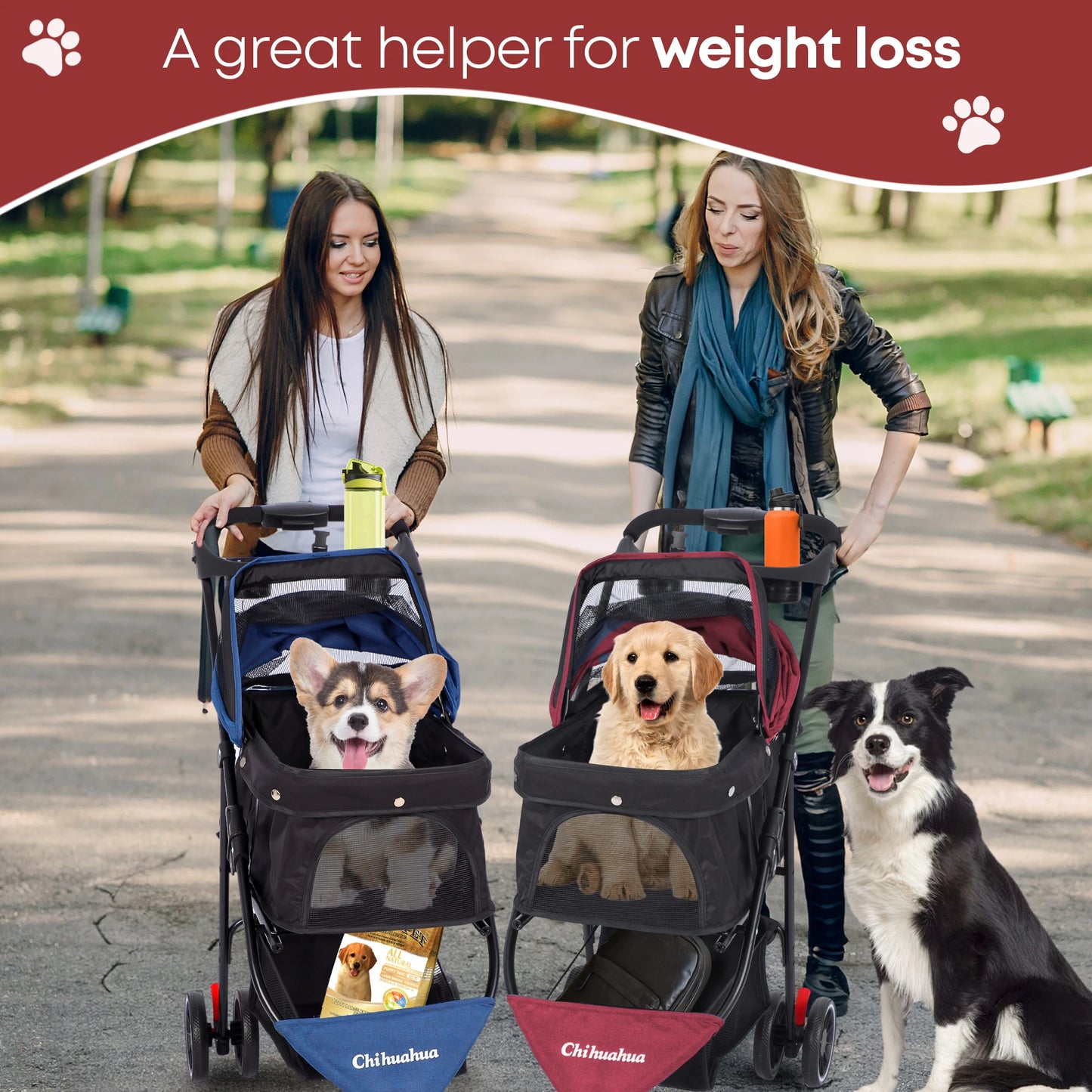 Chihuahua Pet Stroller 3 Wheel Foldable Breathable Canopy