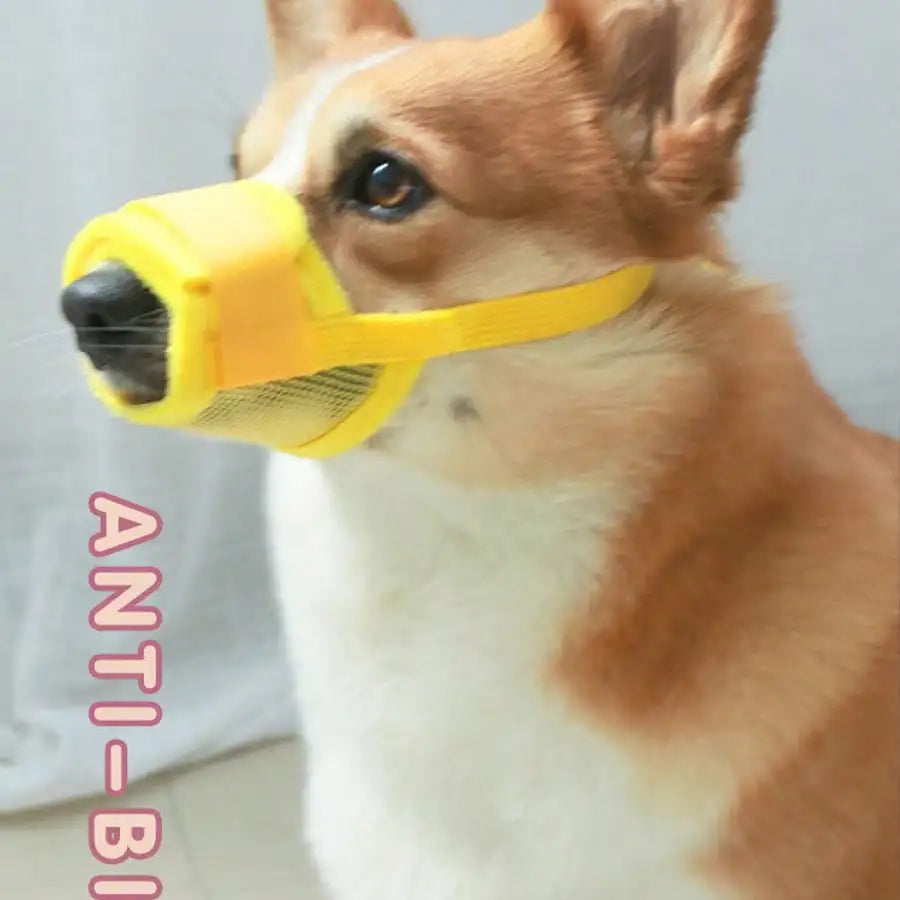 Adjustable Dog Muzzle For Training Breathable Mesh
