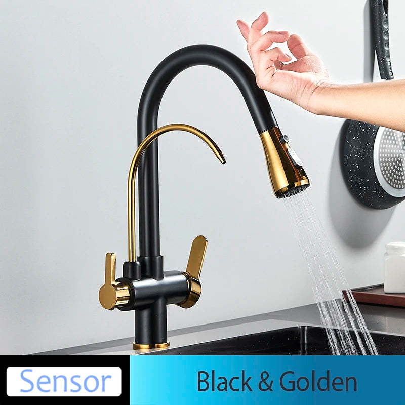 Onyzpily Kitchen Faucet Pull Out Dual Handle