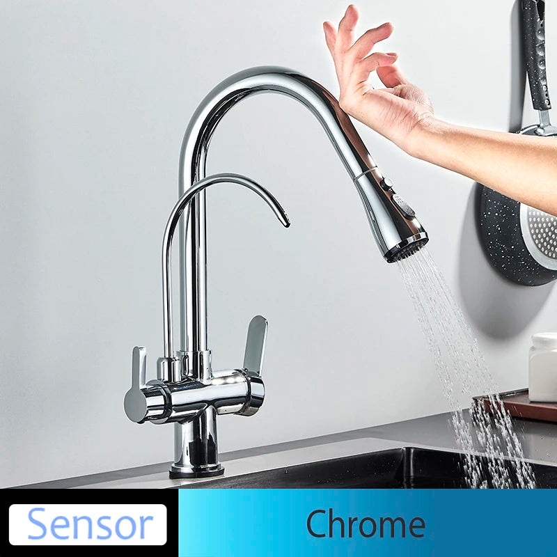 Onyzpily Kitchen Faucet Pull Out Dual Handle