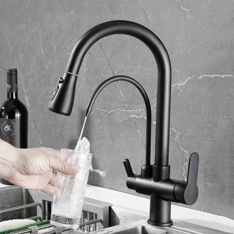Onyzpily Kitchen Faucet Pull Out Dual Handle