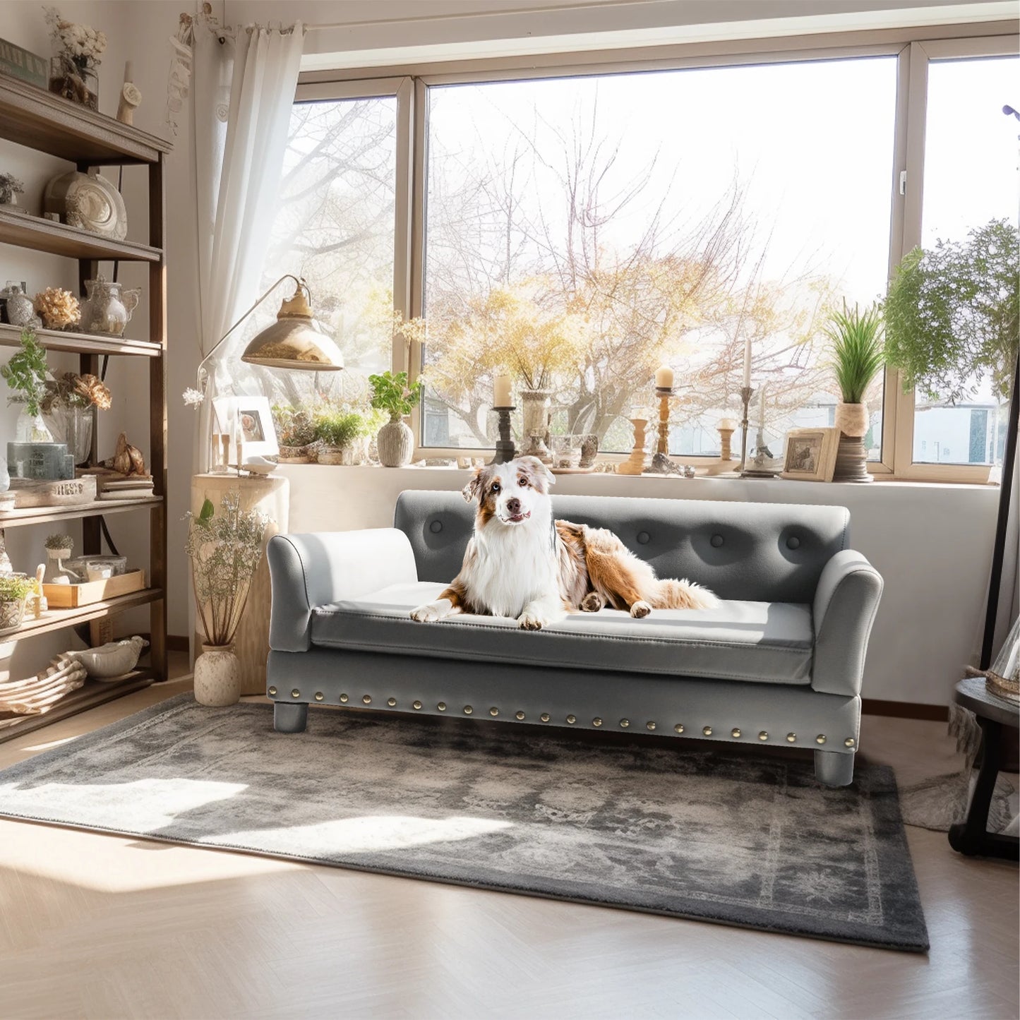BINGOPAW Elevated Dog Bed Sofa Mat With Removable Cushion