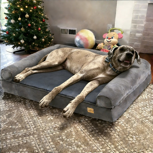 Borwort Orthopedic Calming Dog Bed with Removable Cover