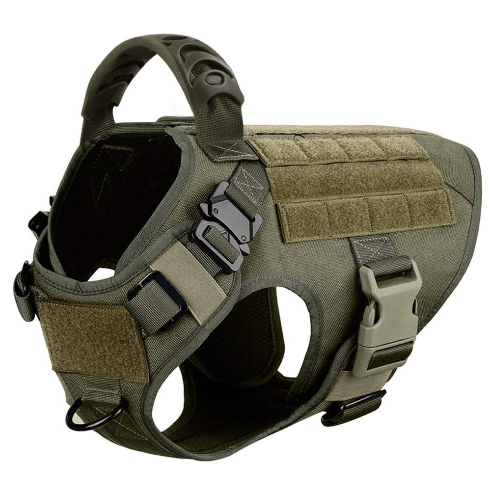 Dog Harness And Leash Set For Training Walks