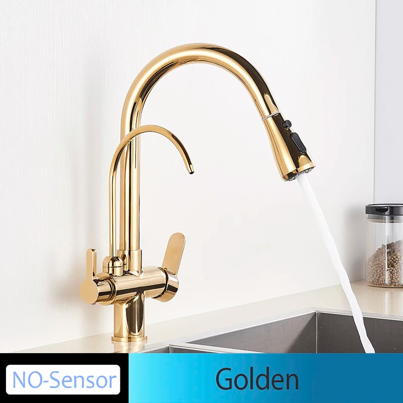 Onyzpily Kitchen Faucet Pull Out Dual Handle