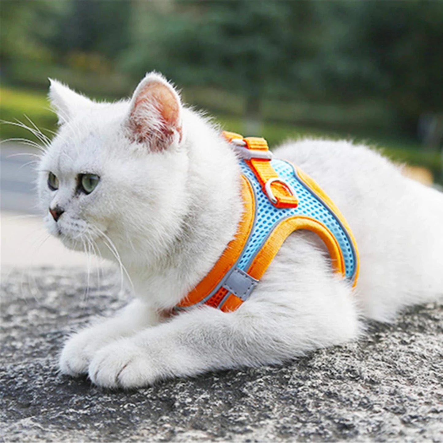 Reflective Cat Harness And Leash Set Adjustable