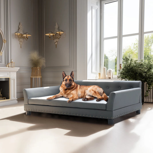 BINGOPAW Elevated Dog Sofa Bed
