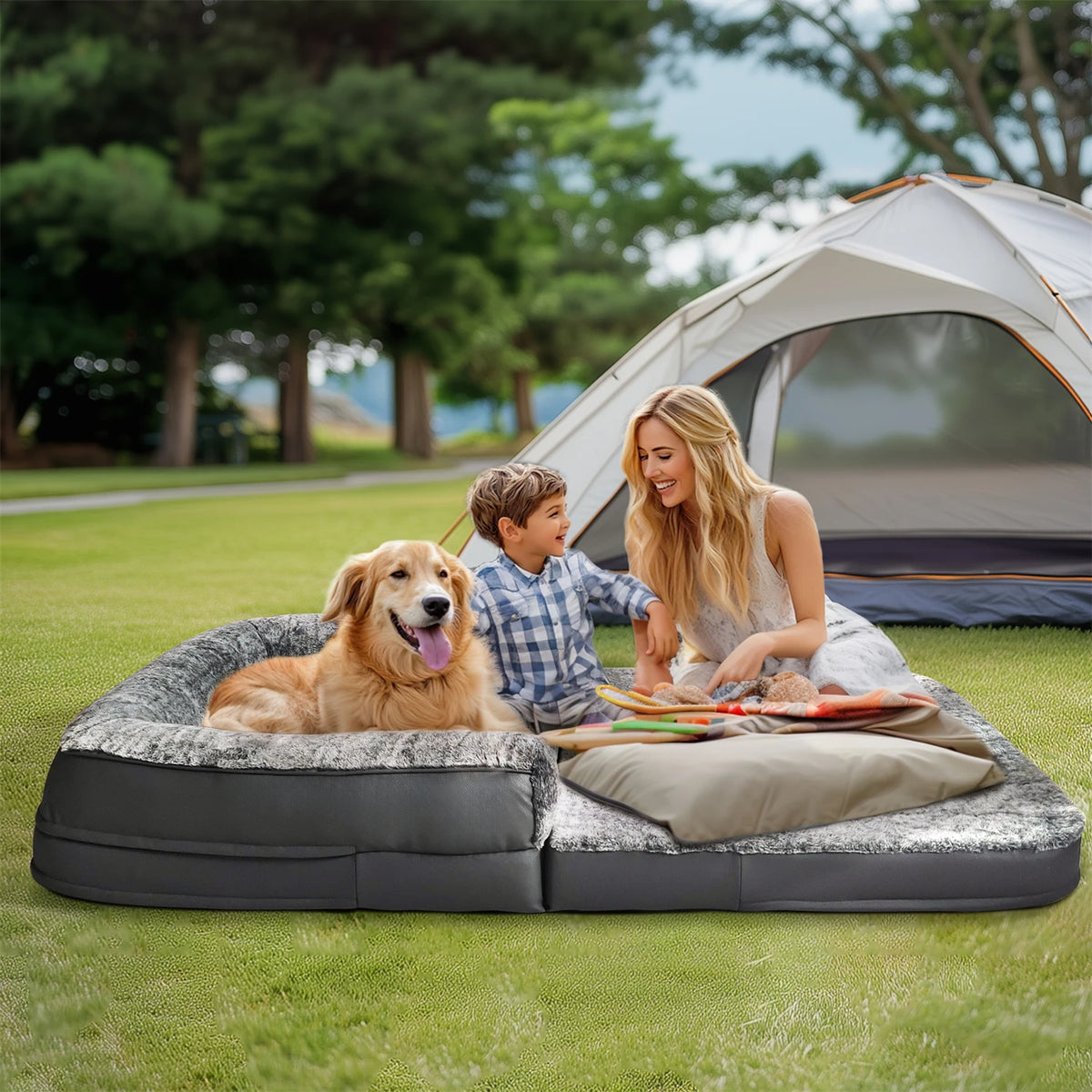 Bingopaw Foldable Orthopedic Dog Bed With Plush Bolster