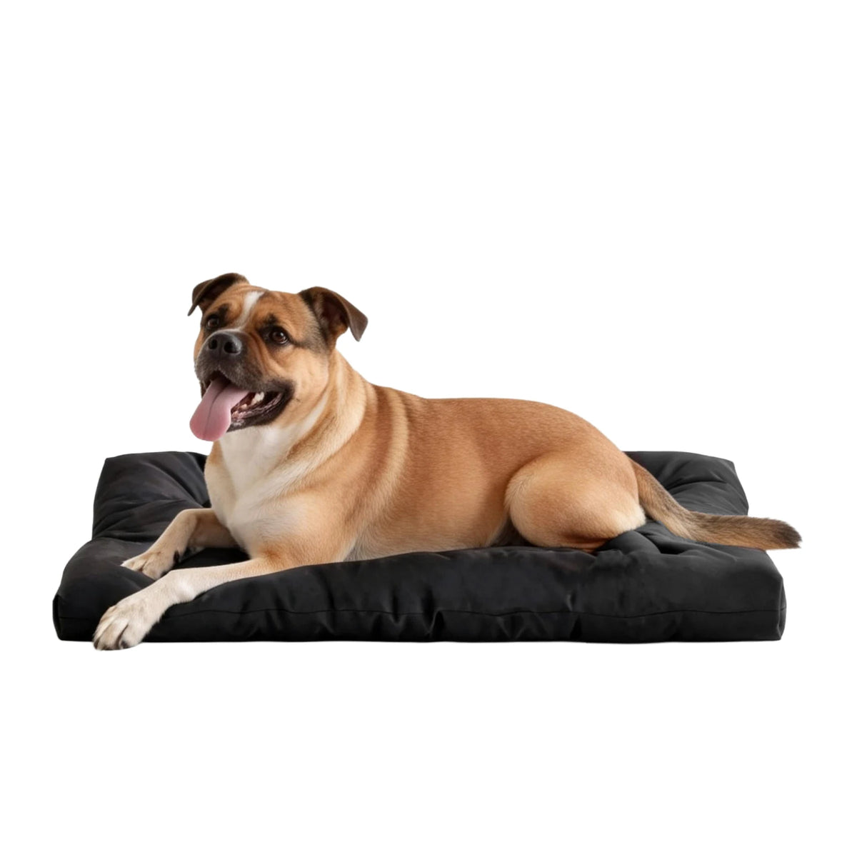 Indestructible Chew Proof Dog Bed Crate Pad