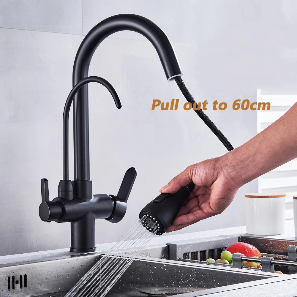 Onyzpily Kitchen Faucet Pull Out Dual Handle