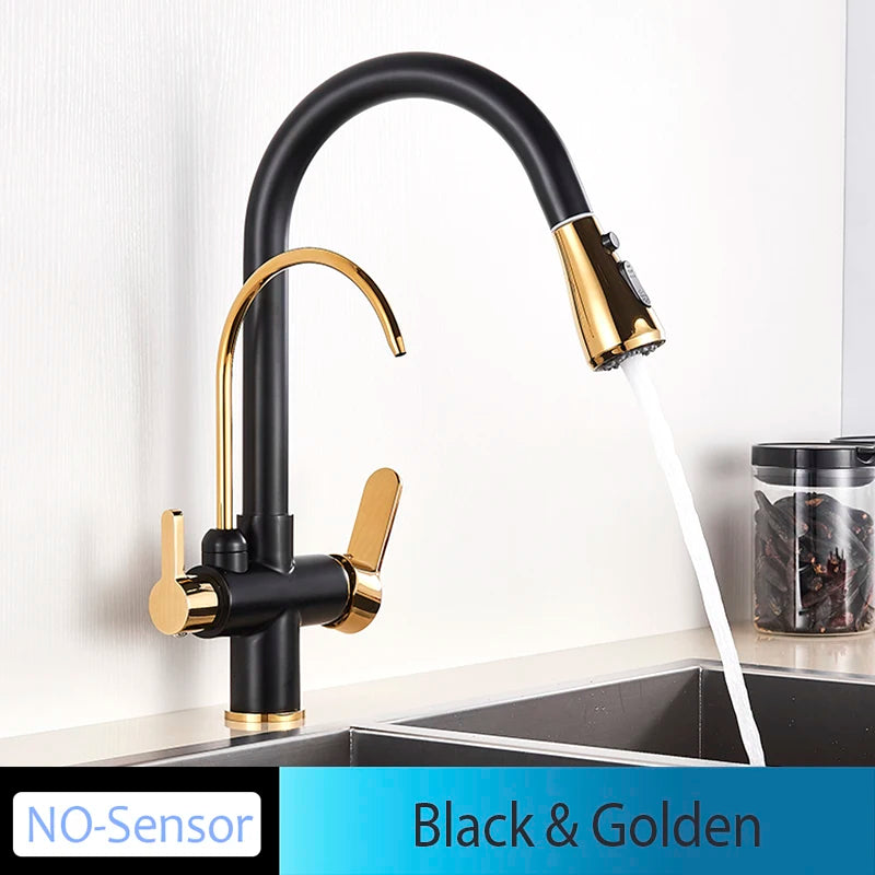Onyzpily Kitchen Faucet Pull Out Dual Handle