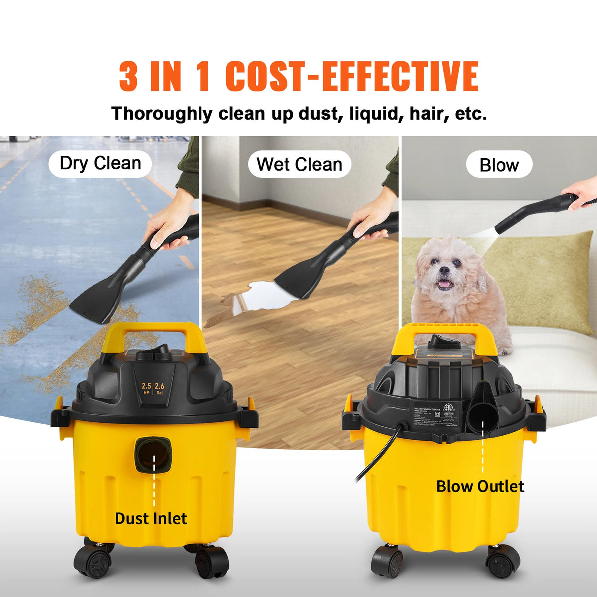 SucceBuy Portable Wet Dry Shop Vacuum With Blowing Function