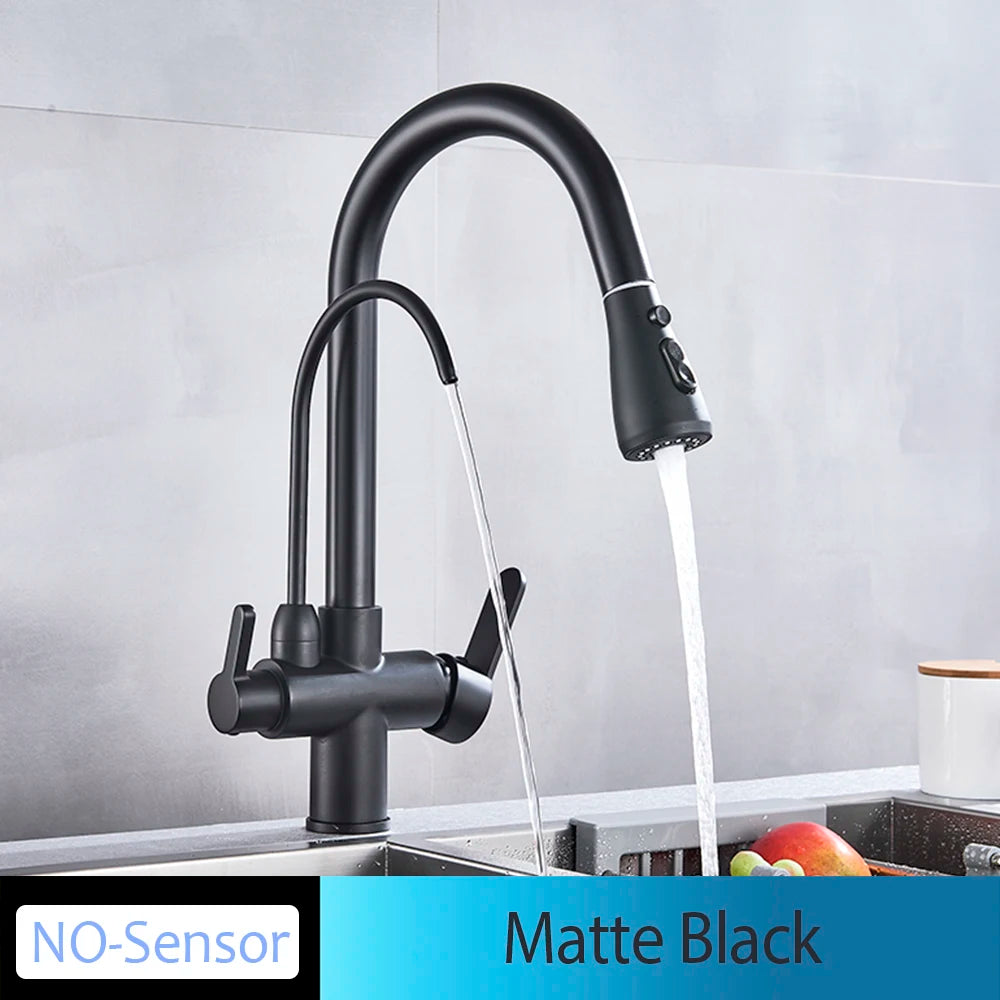 Onyzpily Kitchen Faucet Pull Out Dual Handle