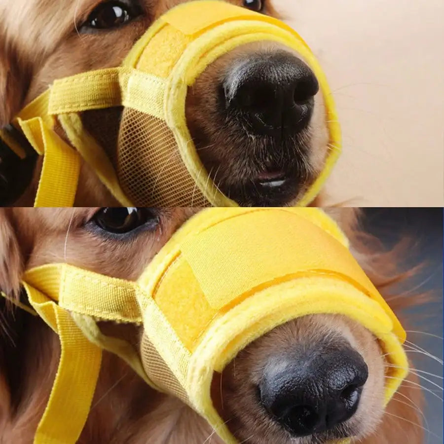 Adjustable Dog Muzzle For Training Breathable Mesh