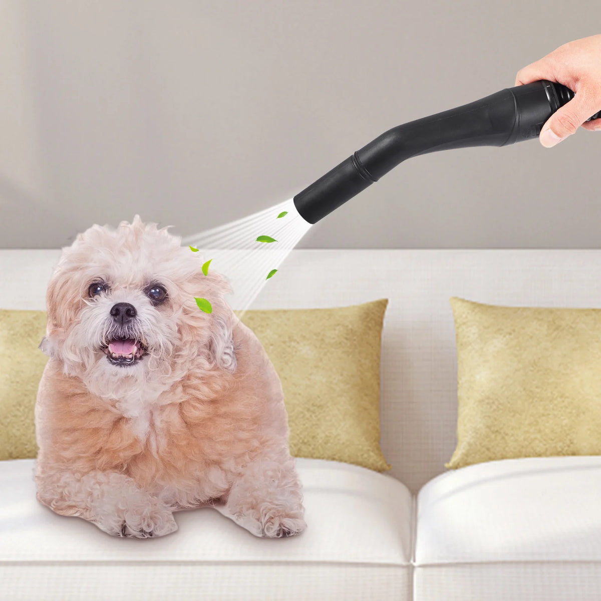 SucceBuy Portable Wet Dry Shop Vacuum With Blowing Function