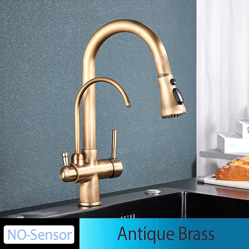 Onyzpily Kitchen Faucet Pull Out Dual Handle