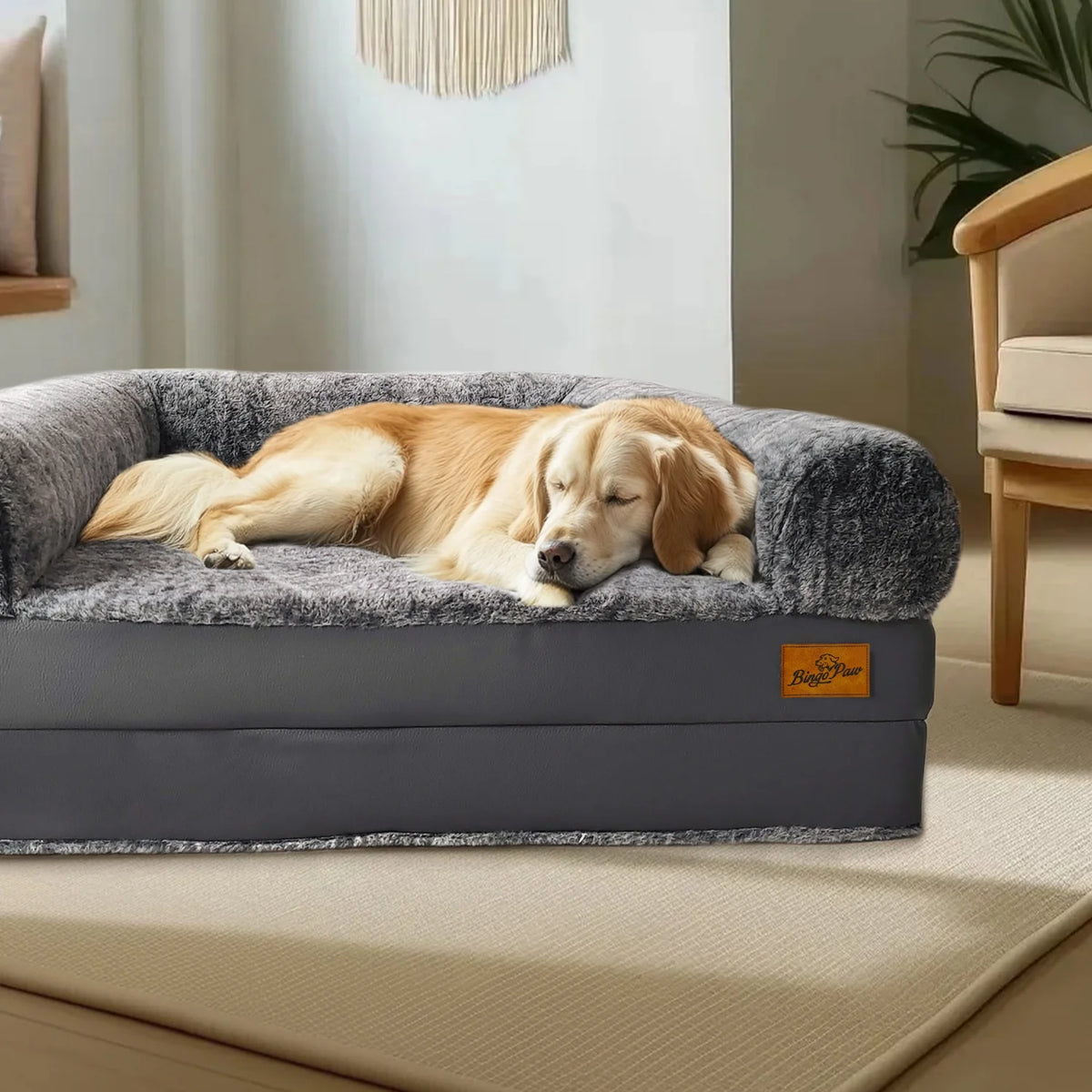 Bingopaw Foldable Orthopedic Dog Bed With Plush Bolster