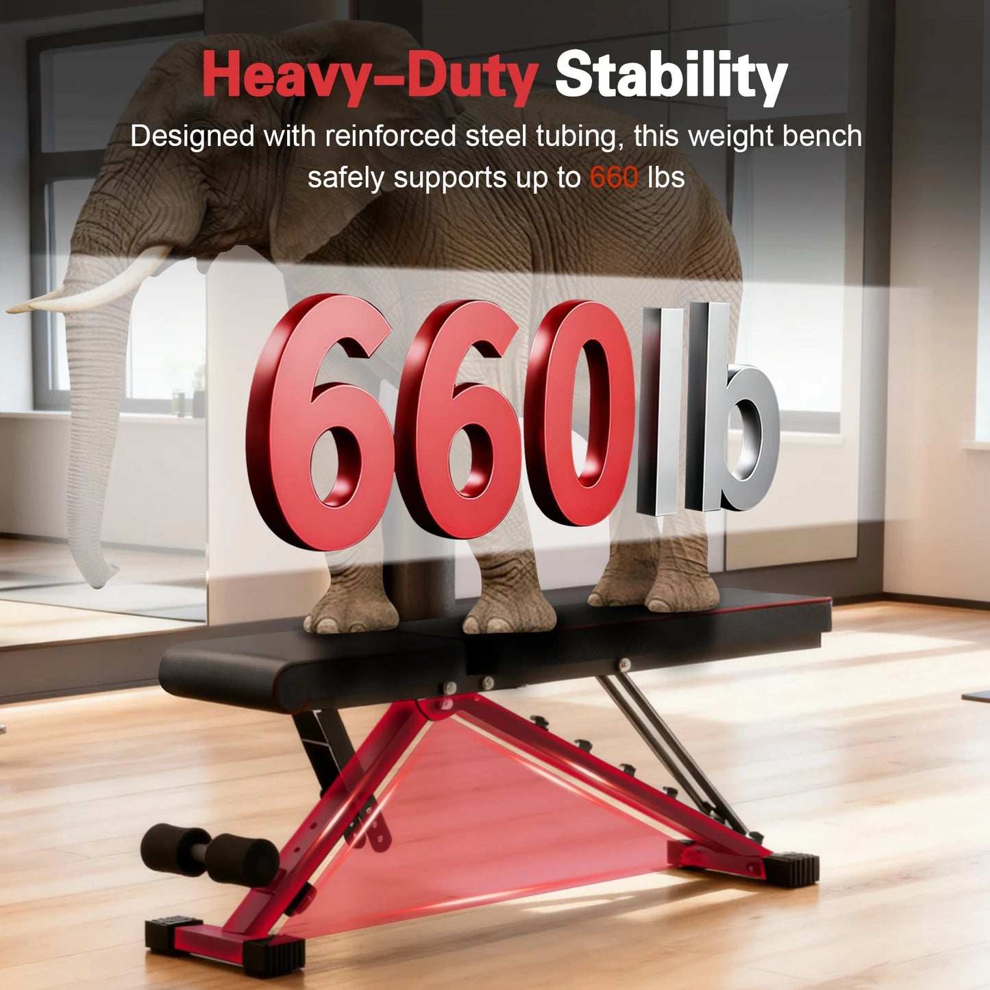 Multifunctional Adjustable Dumbbell Bench 660LBS Capacity