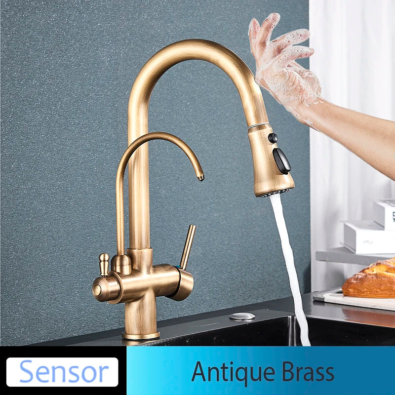 Onyzpily Kitchen Faucet Pull Out Dual Handle