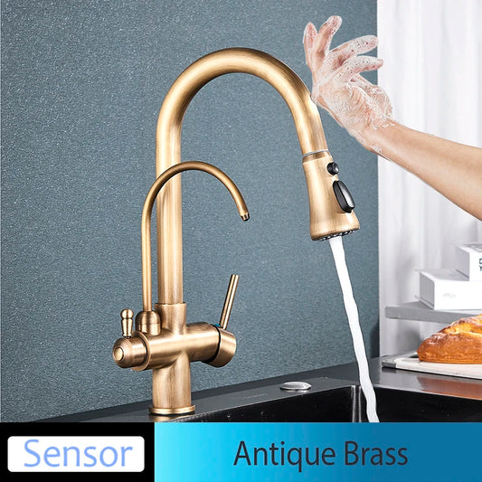 Onyzpily Kitchen Faucet Pull Out Dual Handle