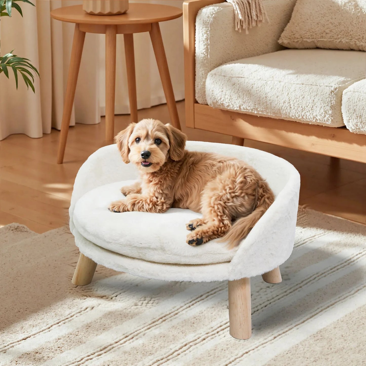 BORWART Elevated Pet Bed Sofa For Dogs And Cats