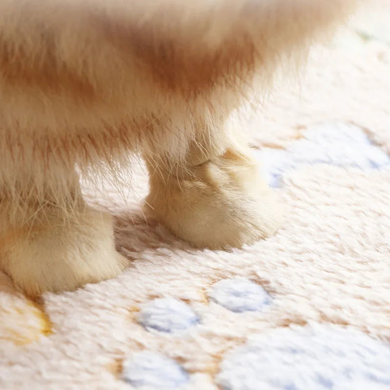 Velvet Pet Blanket Fleece Paw Pattern