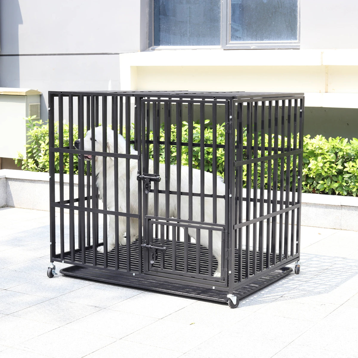 Borwart Heavy Duty Metal Dog Crate With Tray And Wheels