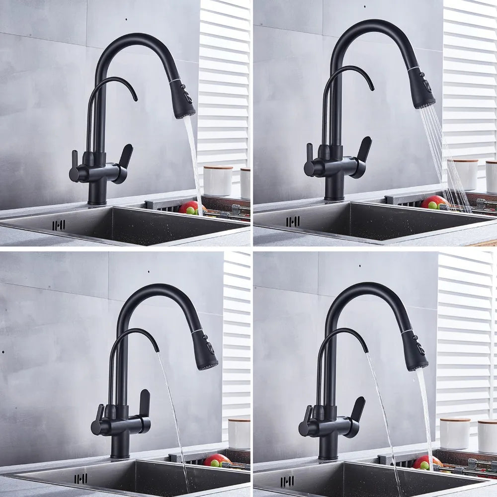 Onyzpily Kitchen Faucet Pull Out Dual Handle