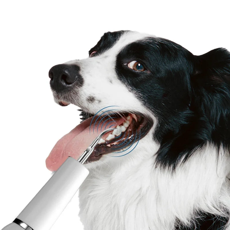 Ultrasonic Dog Toothbrush Dental Cleaning Kit