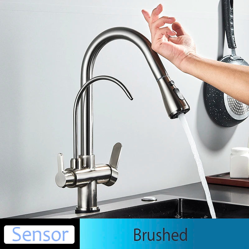 Onyzpily Kitchen Faucet Pull Out Dual Handle
